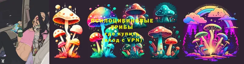 где купить   Можга  Псилоцибиновые грибы Psilocybe 